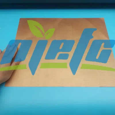  FDA Certificated Easy to Clean PTFE BBQ Grill Mat
