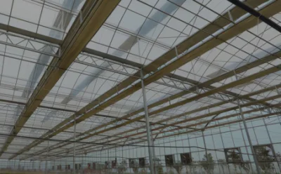  Four Seasons Building Materials for Greenhouse Covering