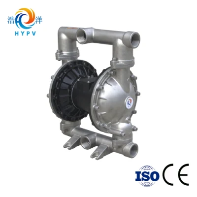  Stainless Steel Teflon Pneumatic Diaphragm Pump