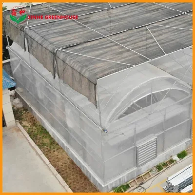  Best Sell Greenhouse Covering for Plastic Film Greenhouse with Hydroponic System