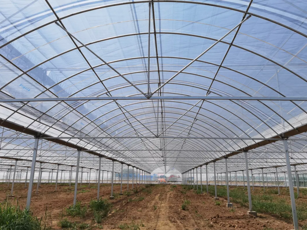 Best Sell Greenhouse Covering for Plastic Film Greenhouse with Hydroponic System