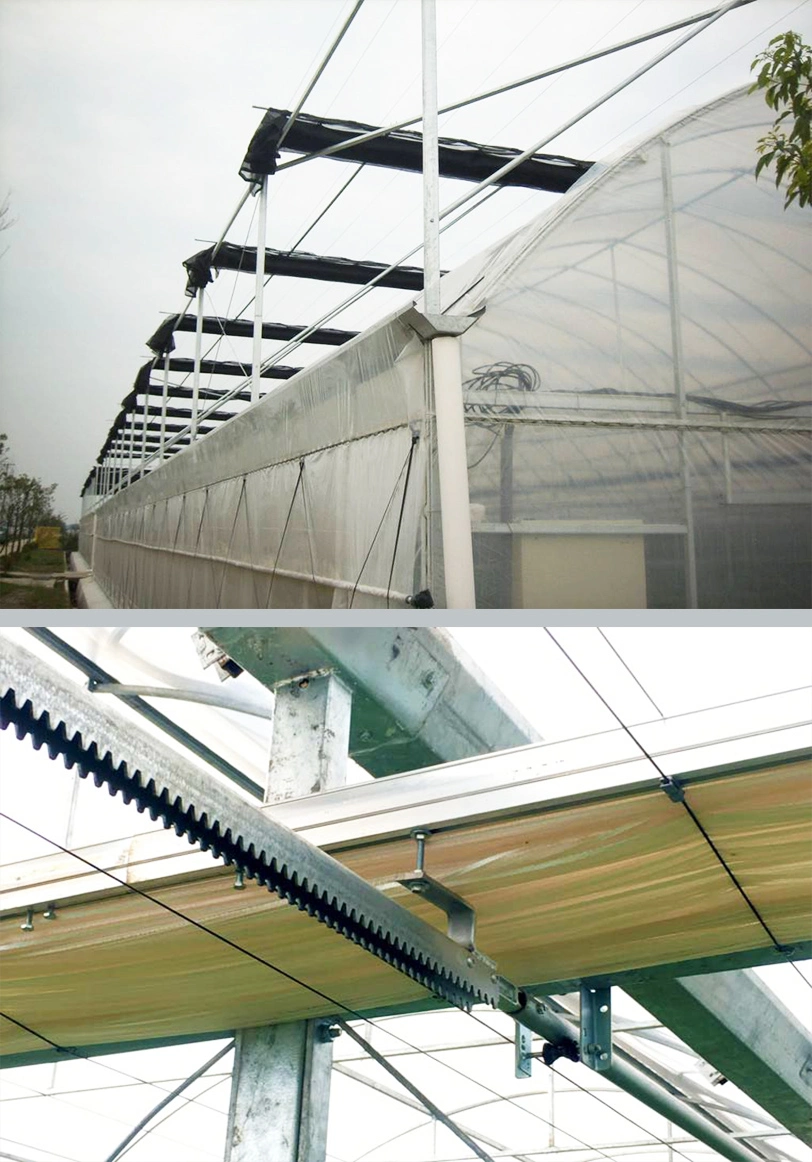 Prefab Greenhouse Polycarbonate/Glass Covering for Flowers and Vegetables