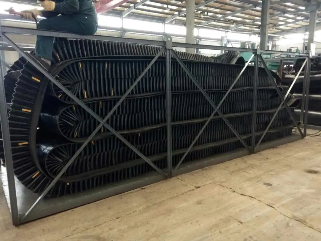Professional Customization Wire Conveyor Belt PTFE Conveyor Belt Industrial Conveyor Belt PVC Belt Conveyor