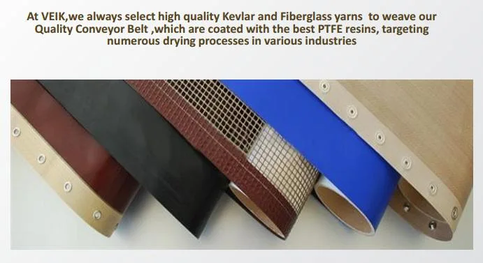 Drying PTFE Coated Fiberglass Mesh Belt