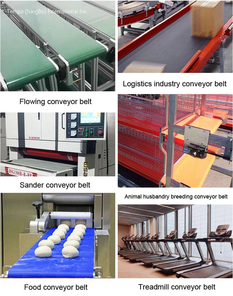 Customize High Temperature Resistance Teflon Mesh Conveyor Belt