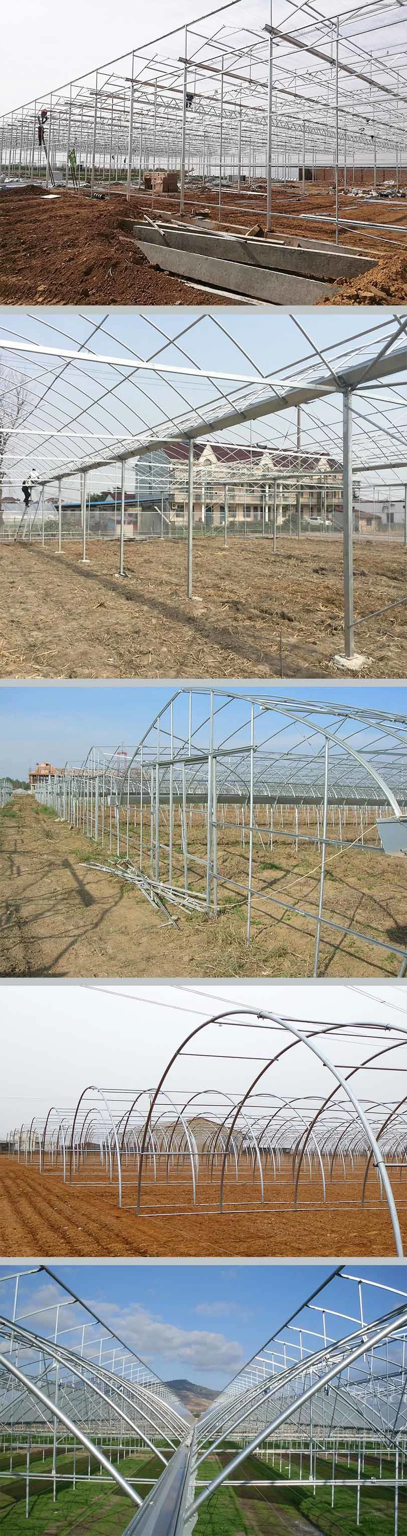 Agricultural Greenhouse Plastic Sheet Covering for Sale