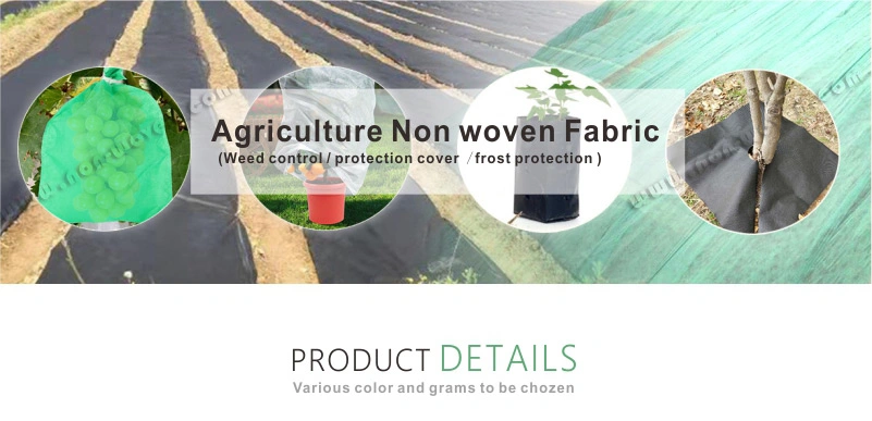 Agriculture Non Woven Covering Plants for Frost