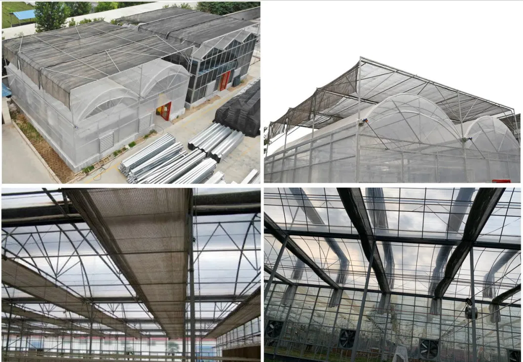 Best Sell Greenhouse Covering for Plastic Film Greenhouse with Hydroponic System