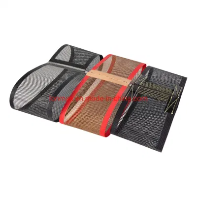  Oferta de profesionales de la fábrica China PTFE Non-Stick cinta transportadora de malla