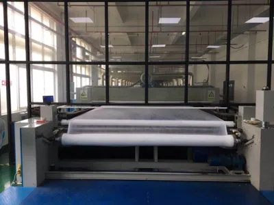 Hidrofílico Membrane-Eptfe Eptfe 0,45 um