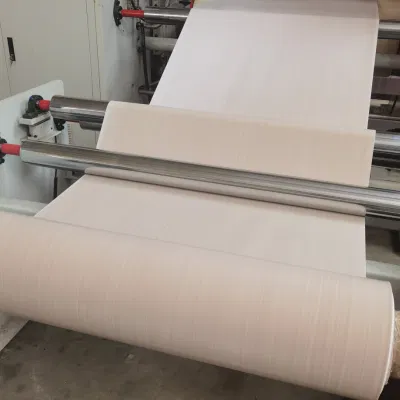 2023 El fabricante de tejido de fibra de vidrio de alta calidad de Tejido de vidrio recubiertas de PTFE paño de tela de fibra de vidrio de aislamiento de Material del filtro para gases de combustión de extracción de polvo de fibra de vidrio.
