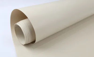 Permanente de la membrana de la arquitectura de PTFE, PTFE Ruberoida