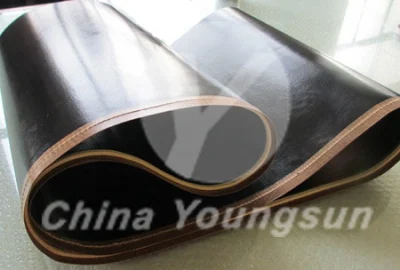 Resistencia al desgarro PTFE Fusing Machine Belt cinturón sin costuras para prendas Facótry
