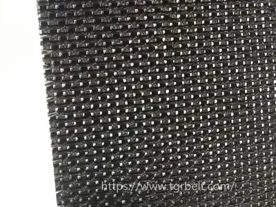 Fabricante China Chemical Corrosion-Resistant Transportador de cinta de PTFE para transportar medicamentos Industrial