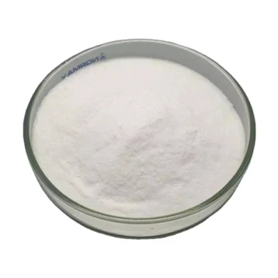 El polvo de cera de PTFE Wear-Resistant Micro Polvo Polvo de Teflon PTFE
