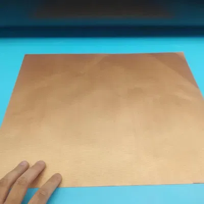 El suministro directo de fábrica China PTFE de color personalizado Barbacoa Mat