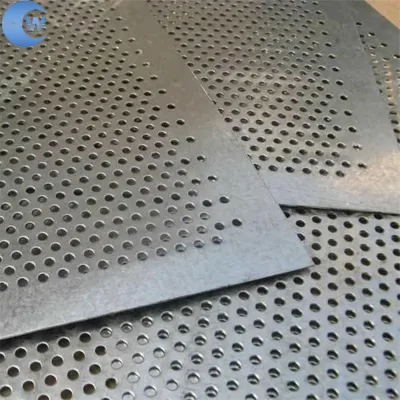 Hoja perforada inoxidable Gráficas de Carbón de Carbón de Carbón de Carbón perforado Bandeja de carbón de charro Rejillas hojas perforadas Metal Acero inoxidable malla perforada de chapa perforada