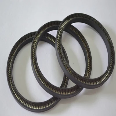 Sellos energizados por resorte N528 Nuevo material PTFE+vidrio para sistemas marinos