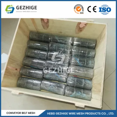 Transportador de cinta de PTFE Gezhige correas de sellado de mallas recubiertas de PTFE perfecta de Kevlar