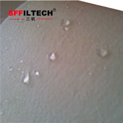 Fibra de vidrio de alta temperatura 750GSM con tela de filtro de membrana de PTFE