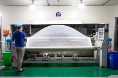 Hueco de la fábrica Gas-Permeable 100% de la membrana de PTFE purificador de aire