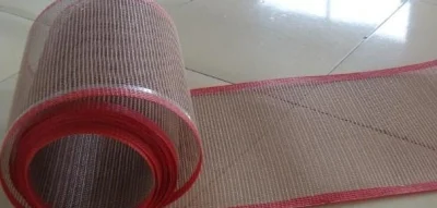 Tejido de malla abierta de PTFE para imprimir y colorear la máquina