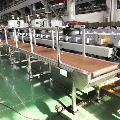 Fácil de limpiar la cadena modular de la industria de PTFE horno de microondas Secador Malla abierta que