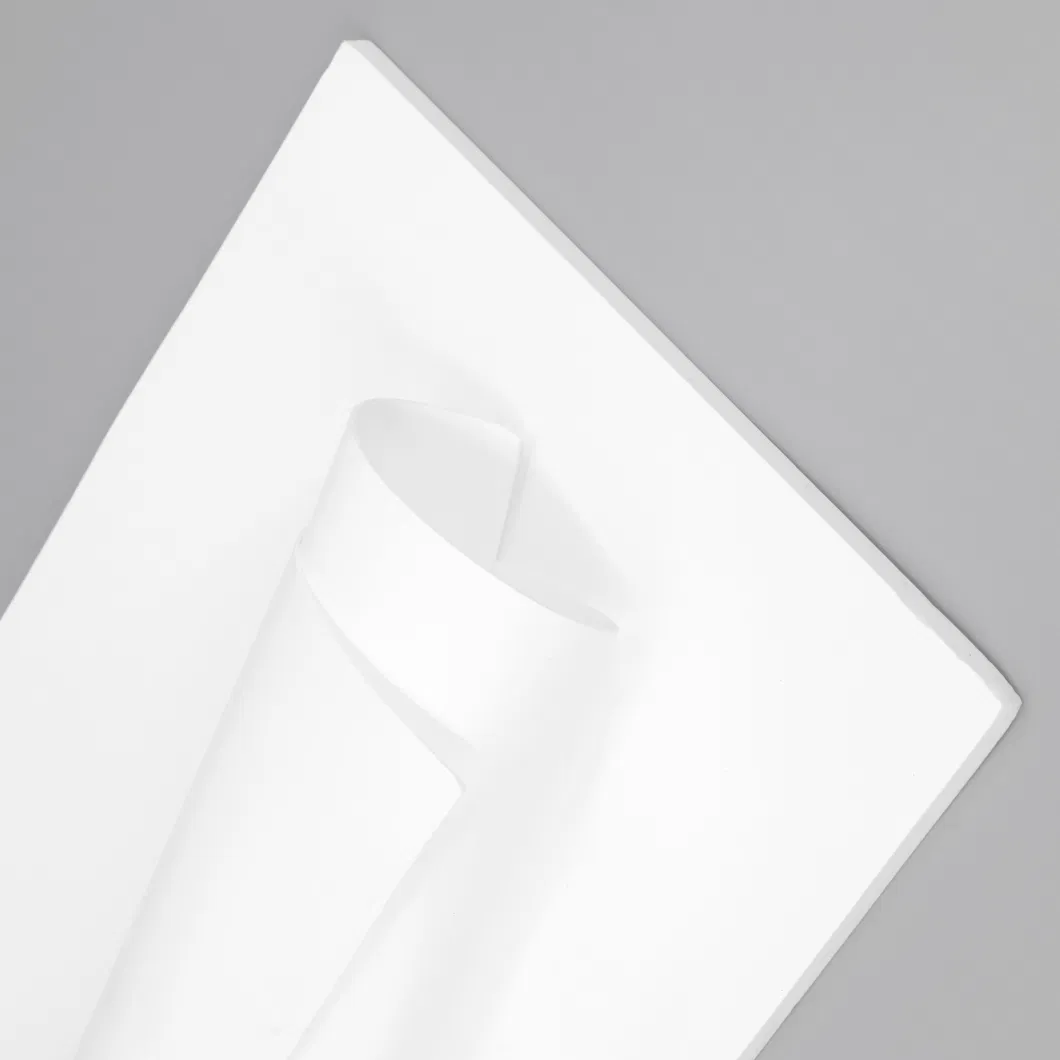 PTFE Expanded Sheet Soft Flexible Sheet