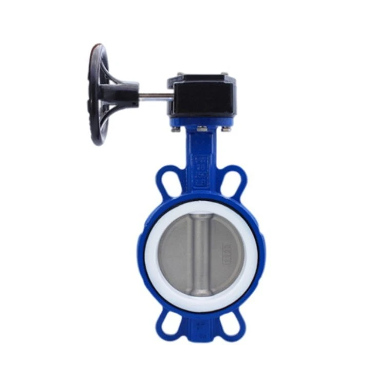 Stainless Steel Teflon Lined Butterfly Valve