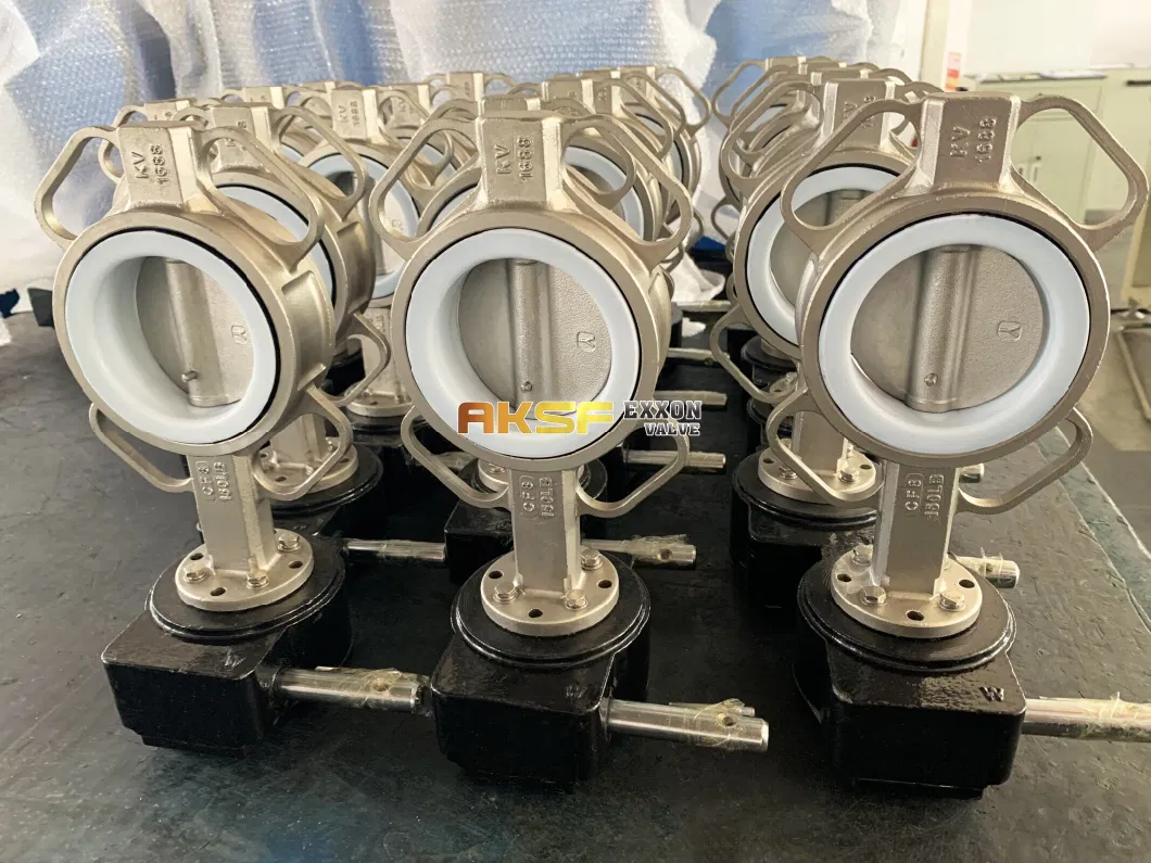Stainless Steel Teflon Lined Butterfly Valve
