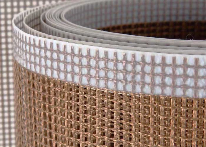 Industrial Fiberglass Net Fabric PTFE Mesh