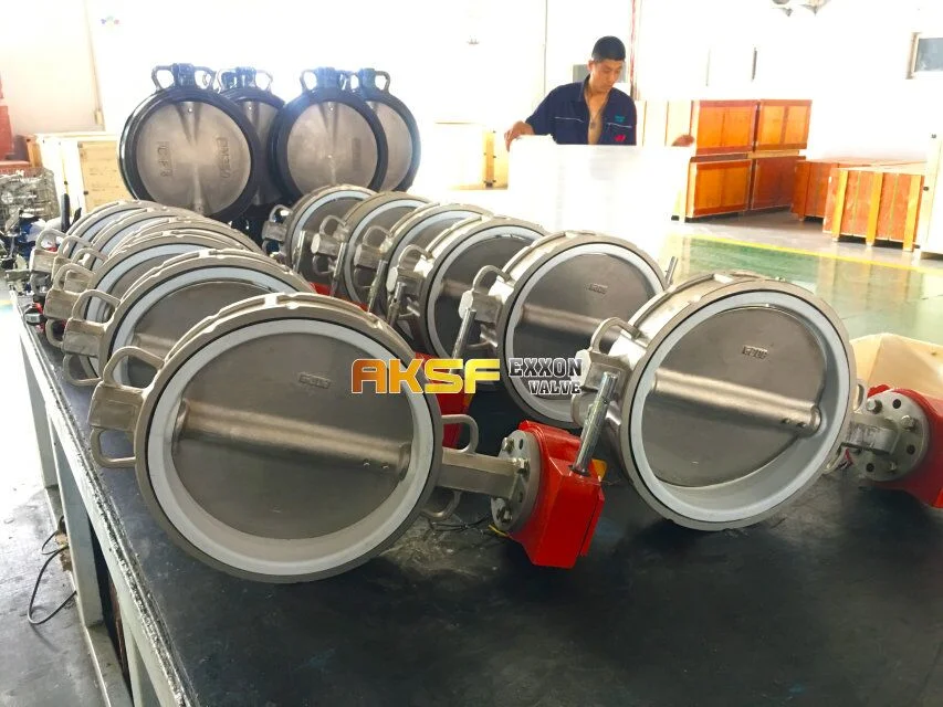 Stainless Steel Teflon Lined Butterfly Valve