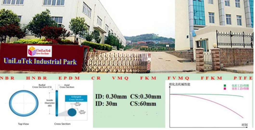 Factory White Color PTFE Coating FKM Silicone Orings