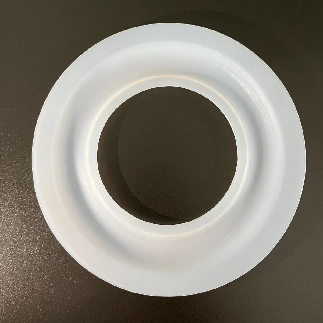 Customized High Quality Non-Stick PTFE Diaphragm for Milton Roy Dosing Pump