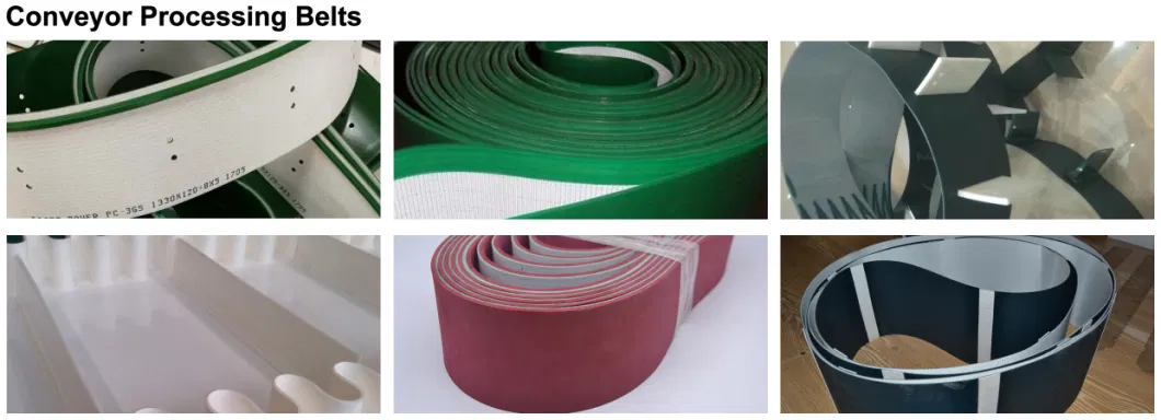 China Manufacturer Chemical Corrosion-Resistant PTFE Conveyor Belt for Industrial Dugs Conveying