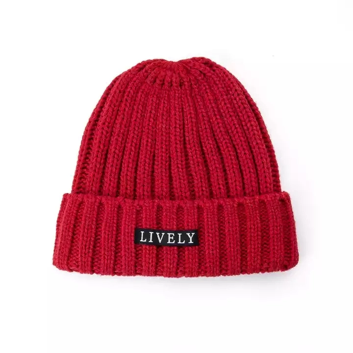 High Quality Custom Embroidery Logo Rib Winter Kit Hats Outdoor Warm Customize Beanies Hats
