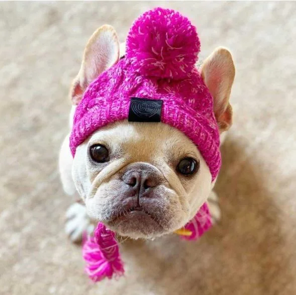 Winter Warm Dog Accessories Pet Ponytail Cable Knitted Pompom Hat