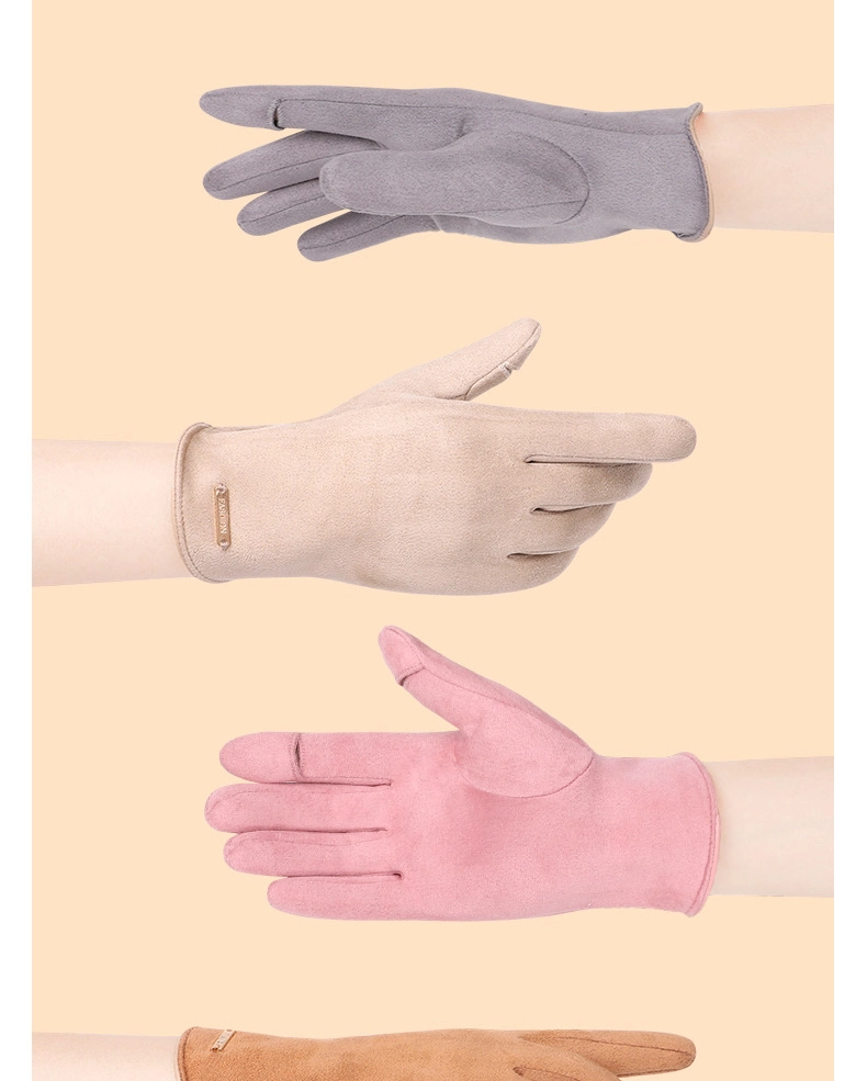 Suede Women&prime; S Winter Cold-Resitant Touch Screen Gloves