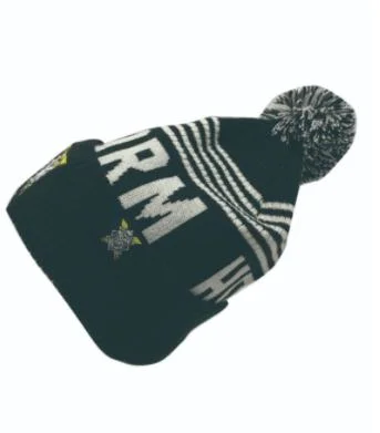 New Style Jacquard Custom Logo Stripe Knit Hat Beanie