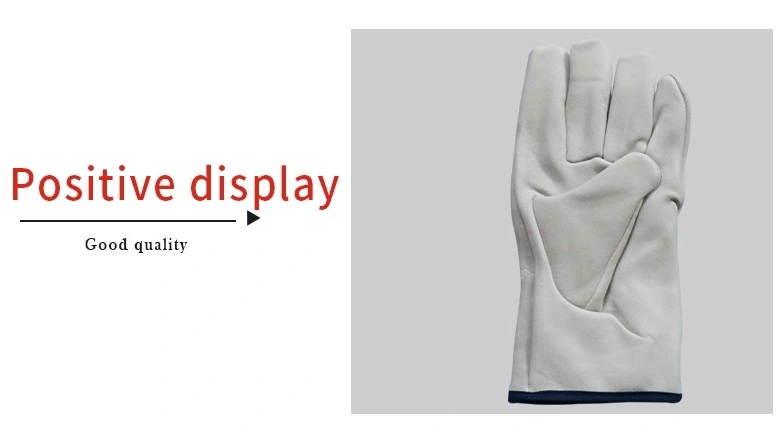 Winter Leather White Gloves for Driving Cycling Dress Leather with Soft Gloves