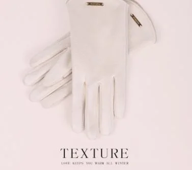 Suede Women&prime; S Winter Cold-Resitant Touch Screen Gloves