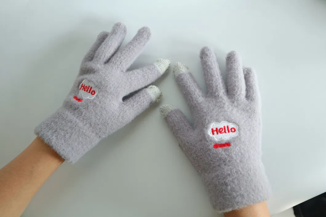 Women&prime;s Autumn and Winter Touch Screen Knitting Glove Acrylic Materials Warm and Soft Outdoor Cycling Mittens