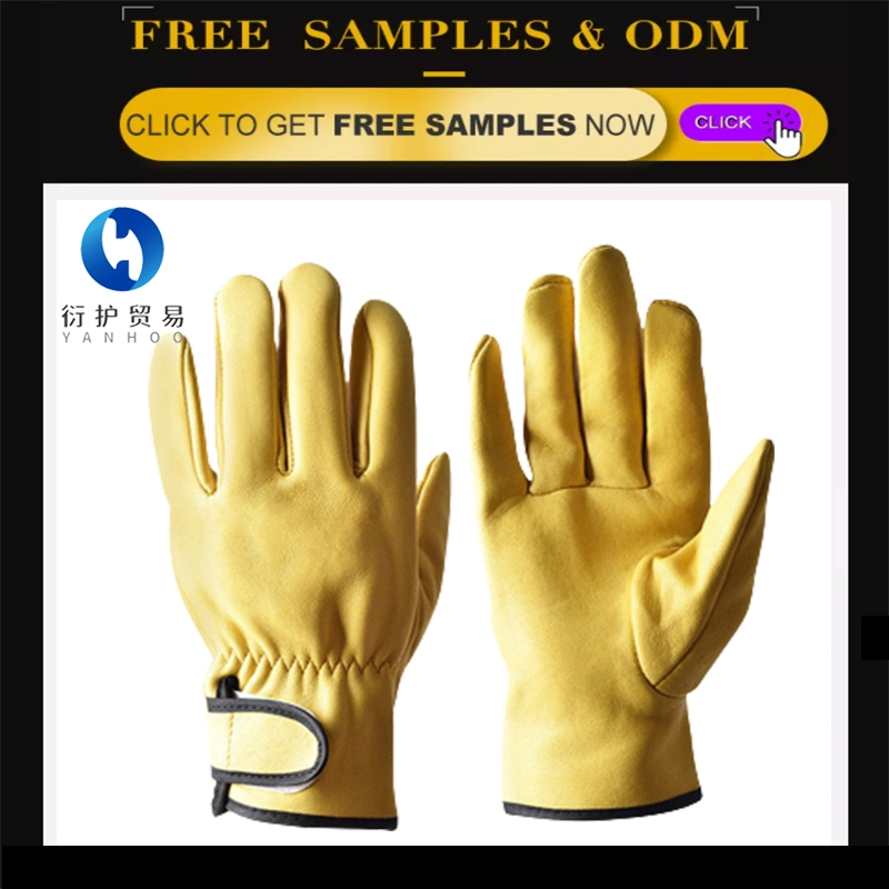 Standard Grain Cowhide Leather Drivers Gloves with Wool Lining and Elastic Wrist