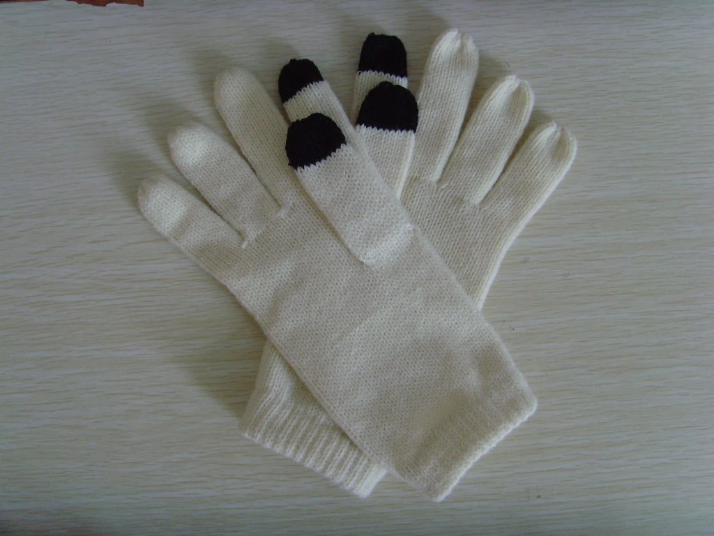 Women Touch Screen Winter Women Knitted Gloves (JKG-2118)
