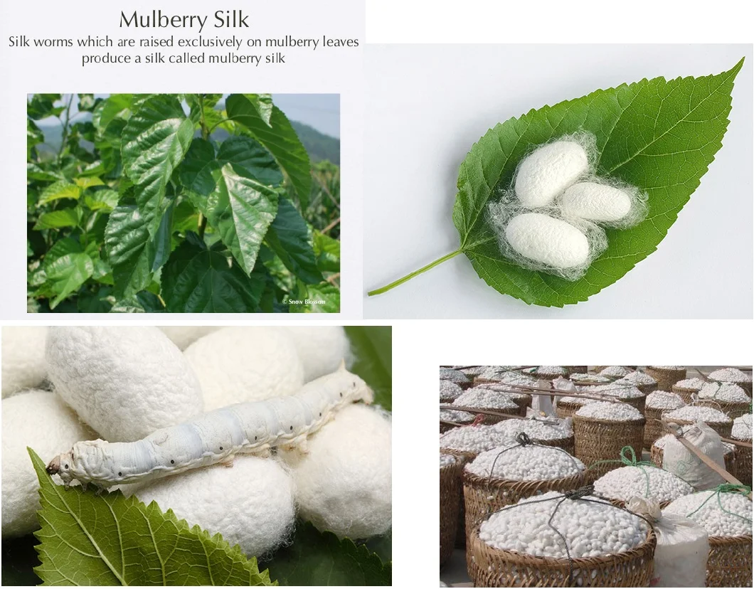 Digital Print Custom 100% Mulberry Silk Square Scarf