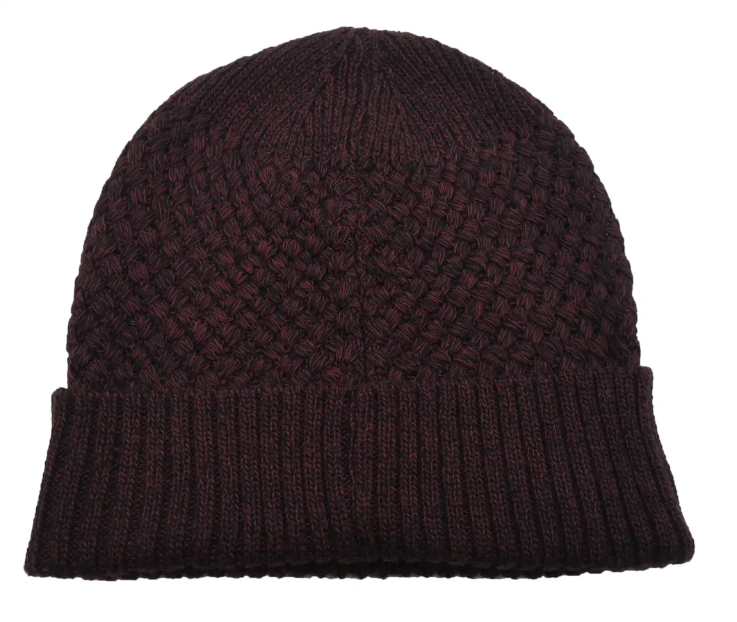 Warm Caps with Jacquard&Embroidery, Adult Knitted Beanie for Winter&amp; Autumn