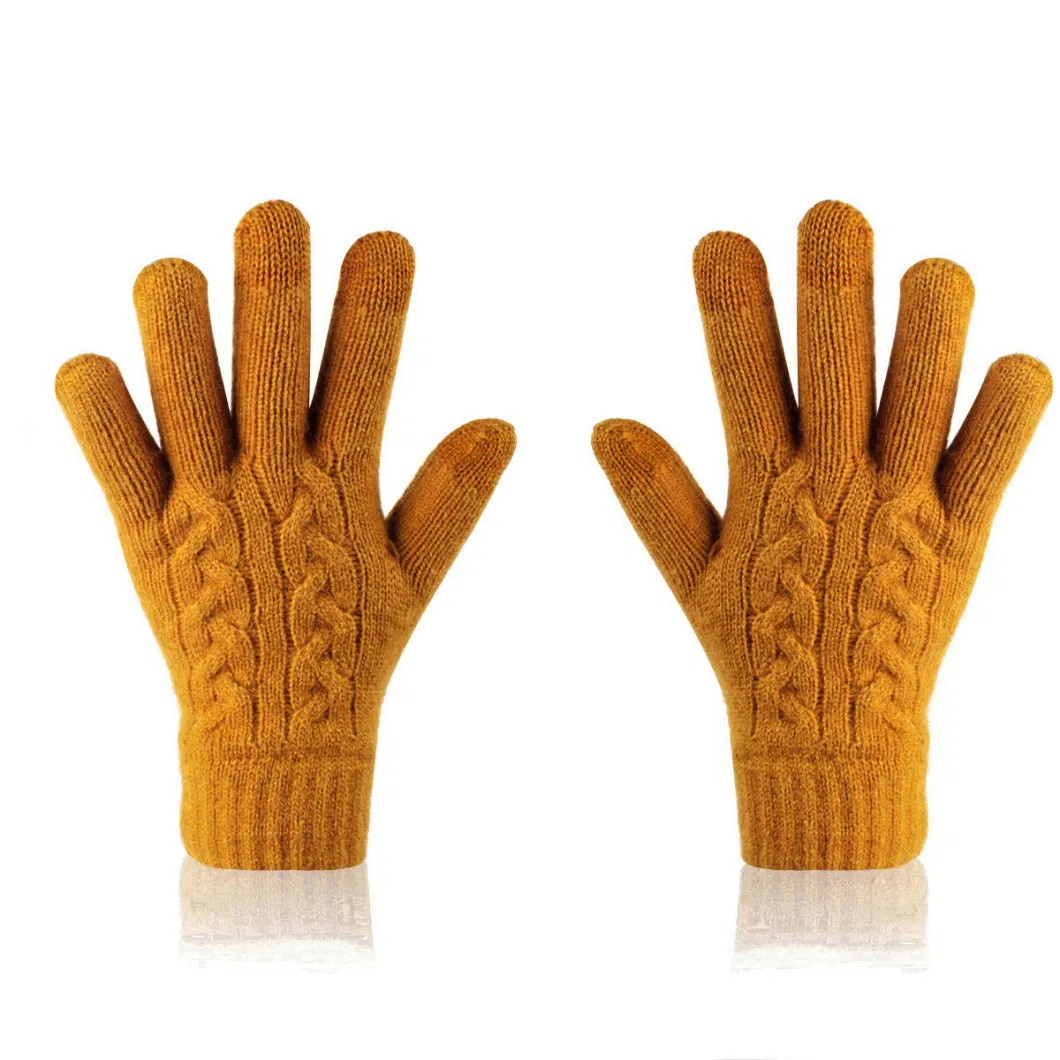 Women&prime; S Winter Warm Touch Screen Gloves Cable Knit Thermal Soft Fleece Gloves for Women