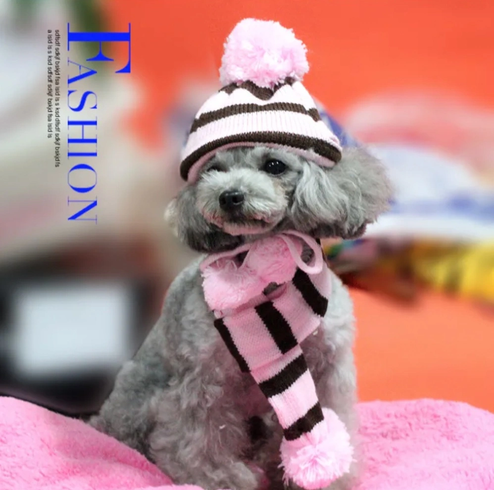 New Pet Clothes Knitted Winter Warm Three Pieces Hat Elbow Scarf Autumn and Winter