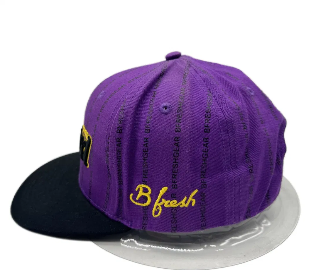 Personalized Hip Hop Baseball Cap with Embroidery