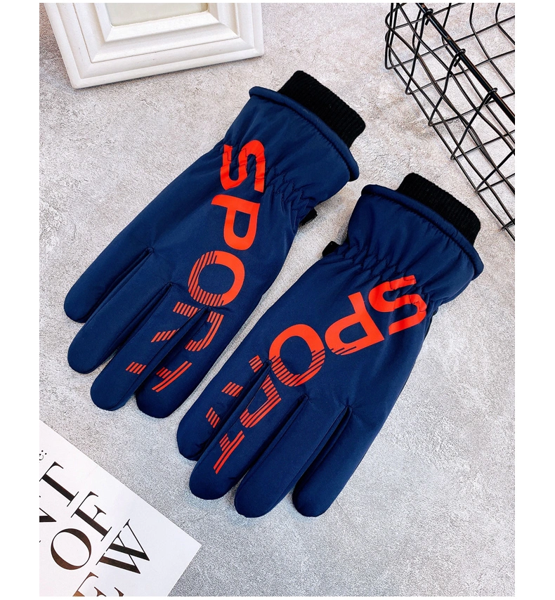 Factory Made Customized Fashion Smart Winter Gloves PU Sheep Skin Outdoor Warm Winter Waterproof Gloves